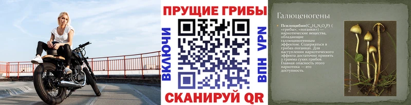 mega маркетплейс  где купить наркотик  Серафимович  Псилоцибиновые грибы ЛСД 